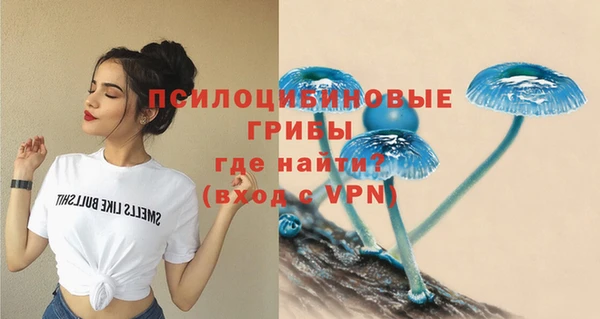 apvp Алзамай