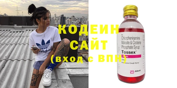 дурь Алексин