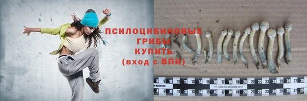 дурь Алексин