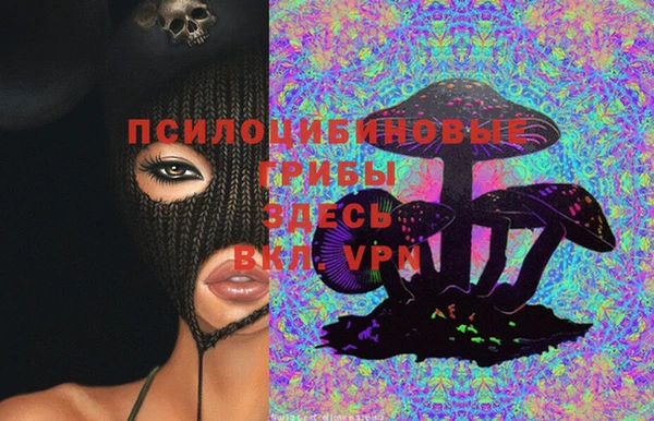 дурь Алексин