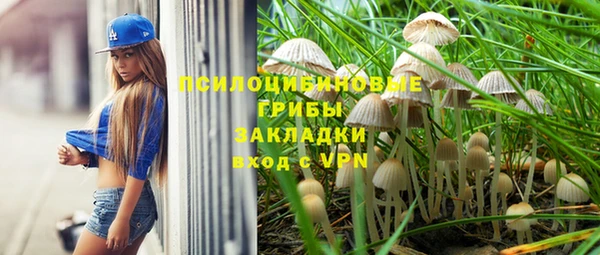 дурь Алексин