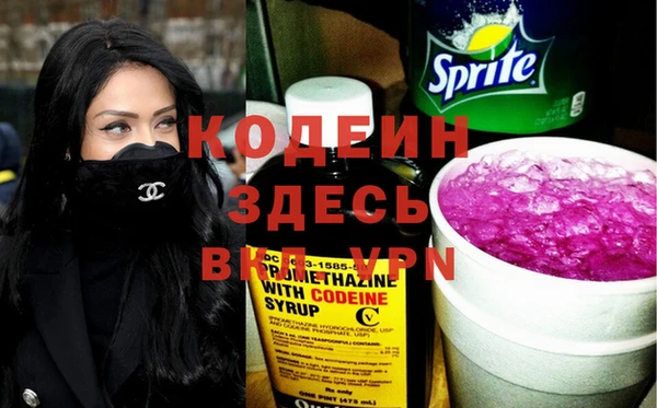 дурь Алексин