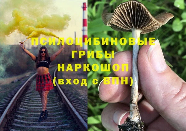 apvp Алзамай