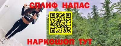 кокс Кингисепп