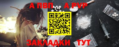 кокс Кингисепп