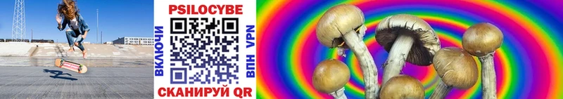 Галлюциногенные грибы Psilocybine cubensis  купить  цена  Лангепас 