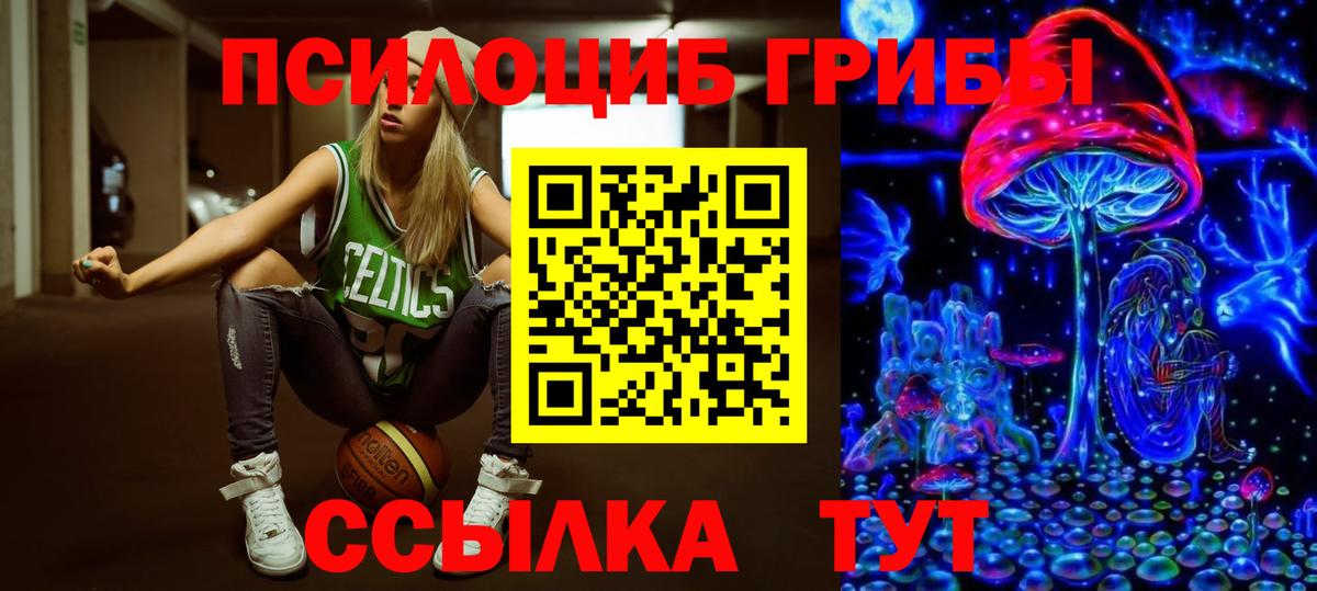 хочу   Псилоцибиновые грибы мухоморы  Лангепас  Вход с VPN  Галлюциногенные грибы Psilocybe 